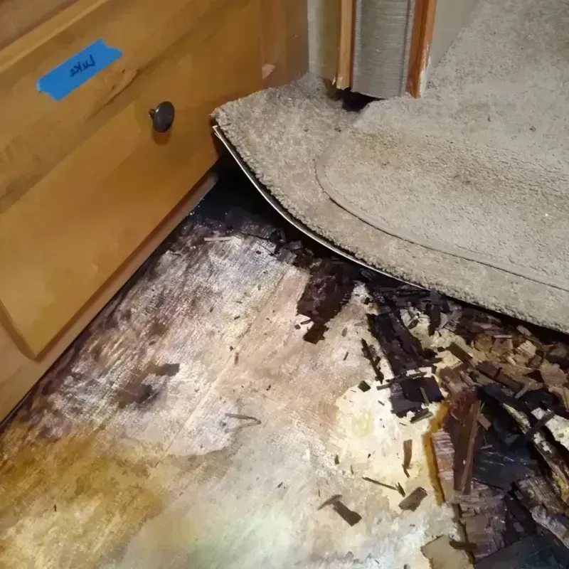 Wood Floor Water Damage in Grandview, WA